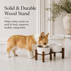 Raised Stoneware Pet Bowls, Acacia Stand