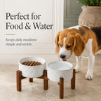 Raised Stoneware Pet Bowls, Acacia Stand