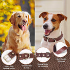 Braided Leather Leash and Collar Set
