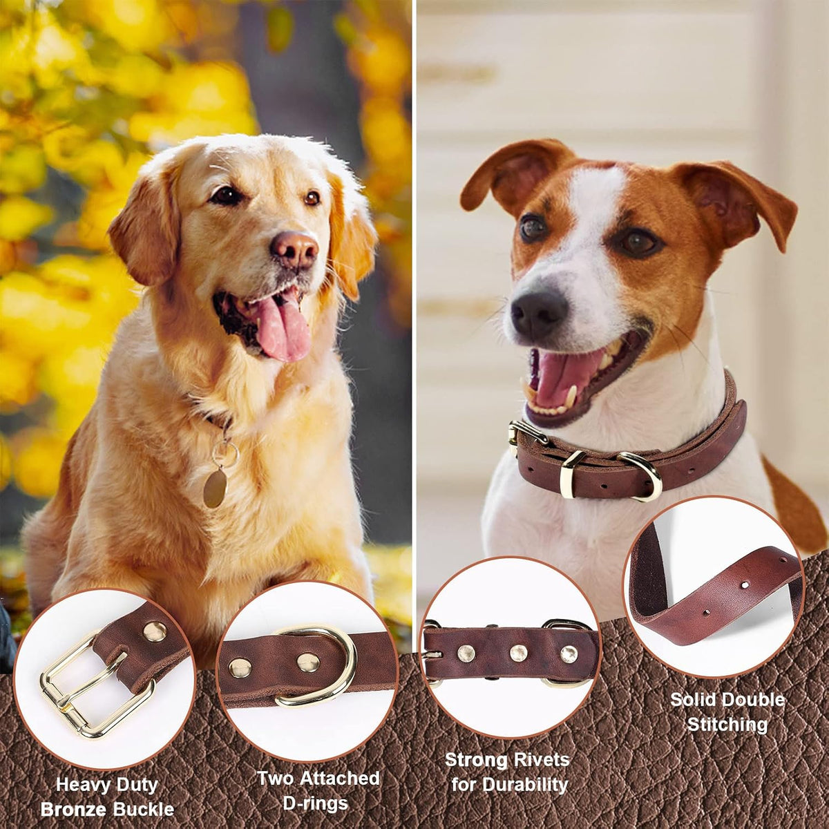 Braided Leather Leash and Collar Set