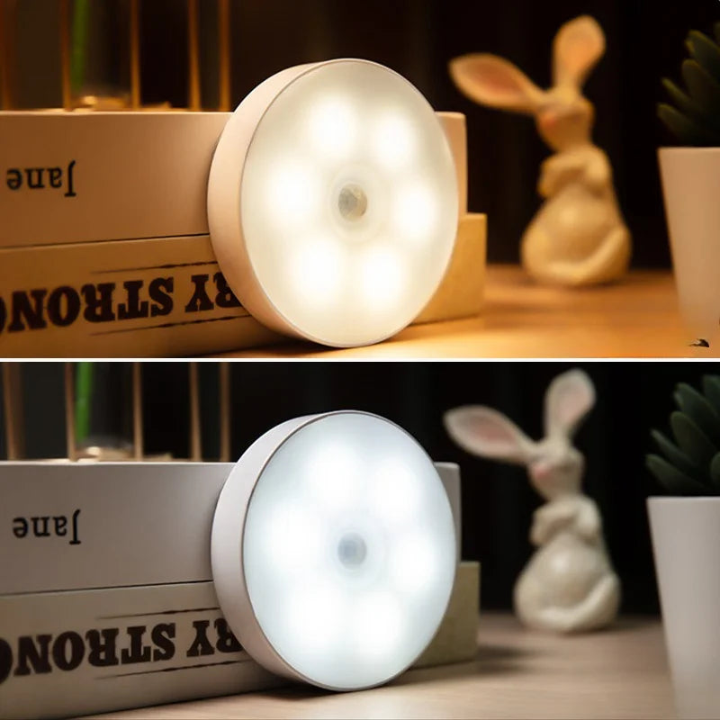 Wireless motion sensor light